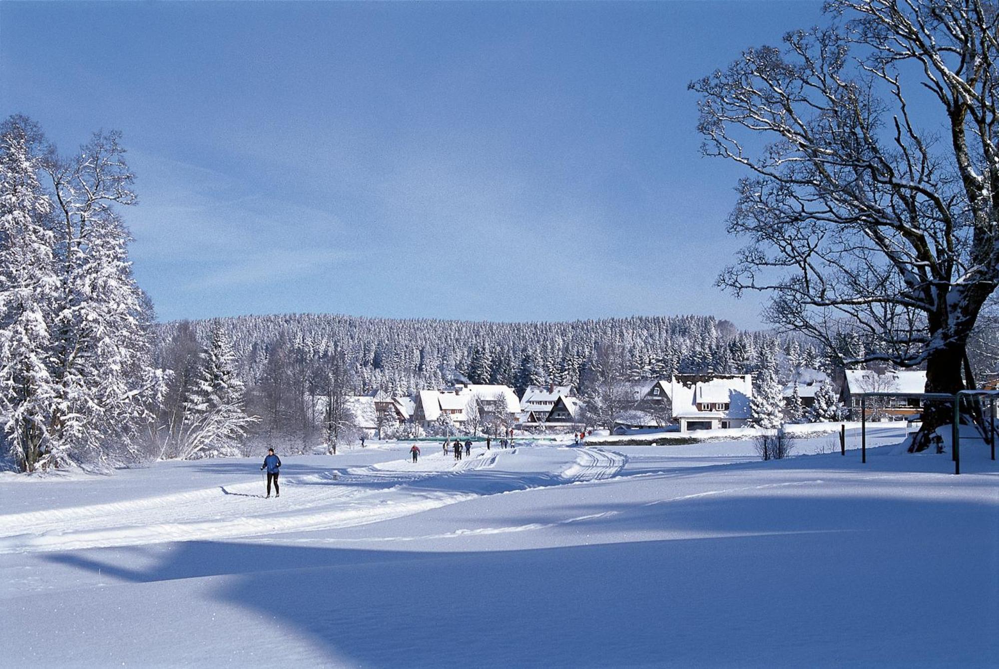 Drei Tannen - Wohnung 09 - Apartmenthaus, Titisee, Feldberg Exterior foto